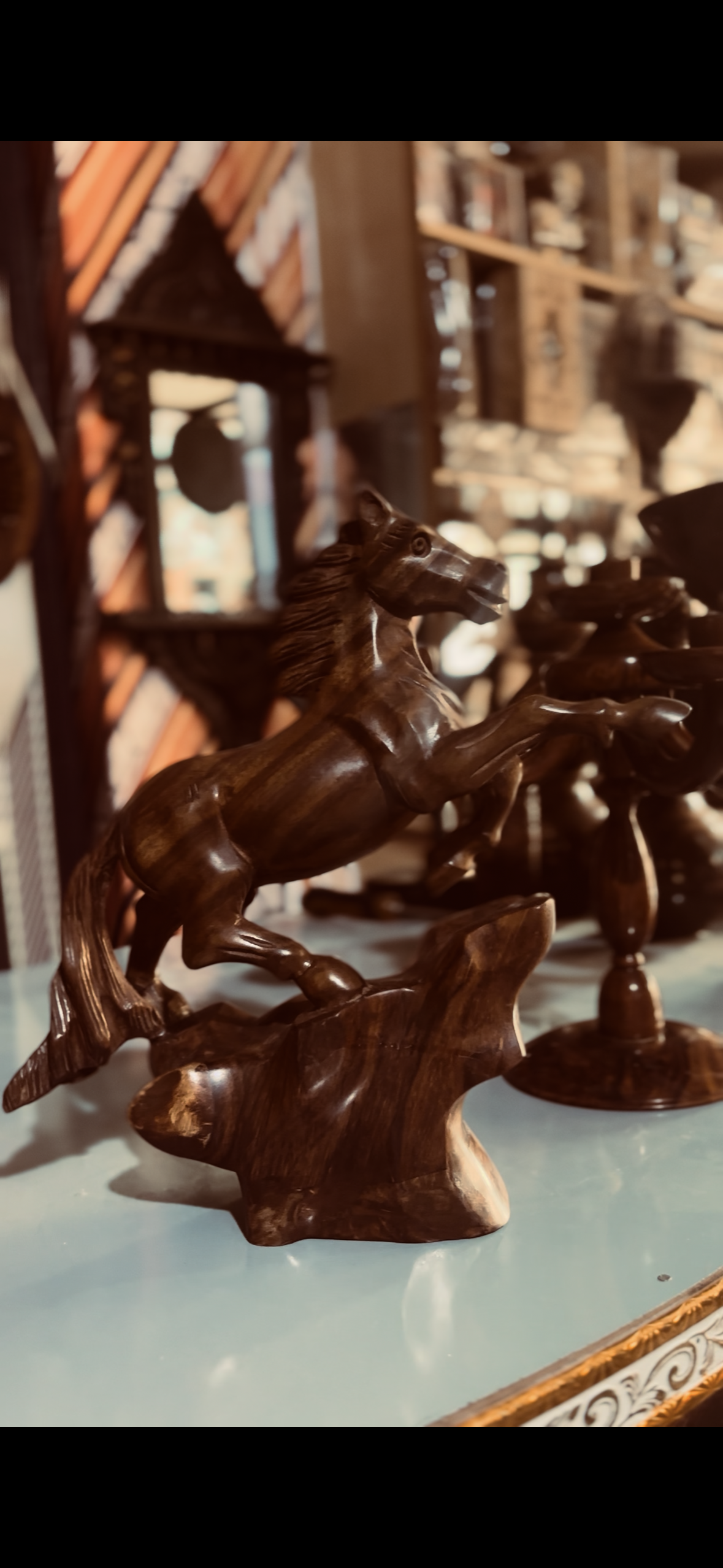Premium Horse